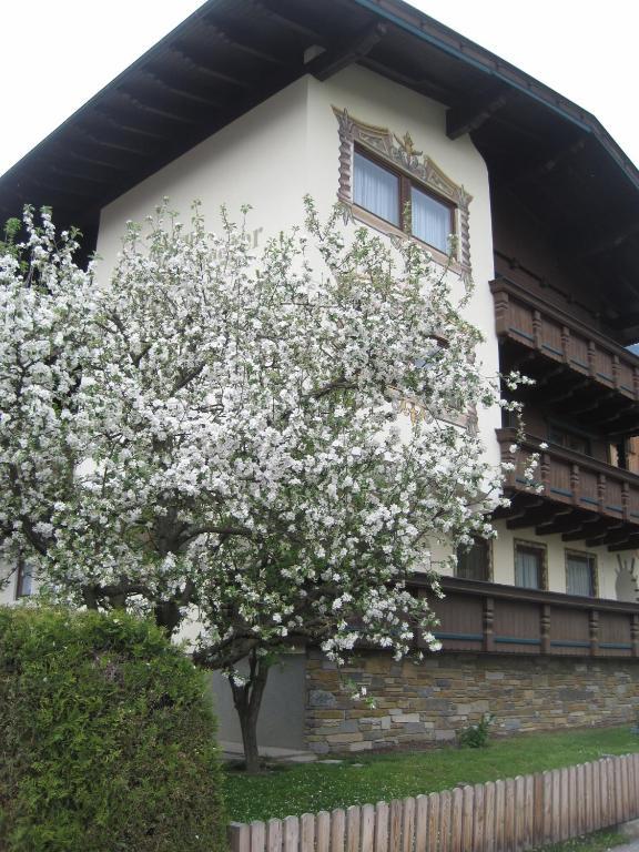 Gaestehaus Braunegger Stumm Buitenkant foto